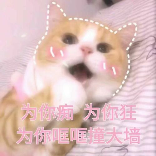  有没有什么富有调戏意味的表情包