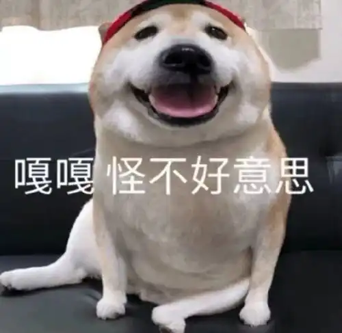  关于一位助眠up的由来