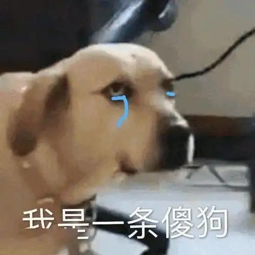  你说的这是人话吗
