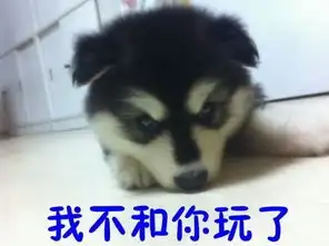 汪星人搞笑表情包 汪星人搞笑表情包