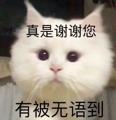  专家变坏才有钱,你变坏必被抓