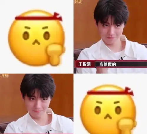  王俊凯亲自认证撞脸柴犬表情,网友调侃从此有了新名称俊犬