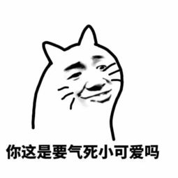 来南宁辣么久南宁麻将你学会了吗收好这篇玩乐君给你的南宁麻将攻略