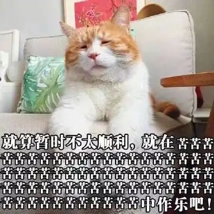  微信朋友圈这是我2020的第一个梦想,希望你能实现