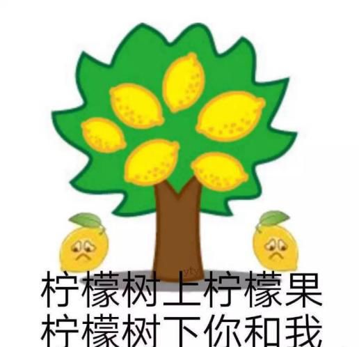  奖金收割机这些学霸告诉你什么叫书中自有黄金屋