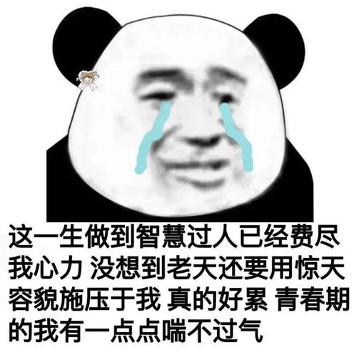  表情包可爱丨爱的表情包图片大全集带鸟0625期