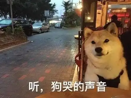 叶航成表情包字幕单身汪