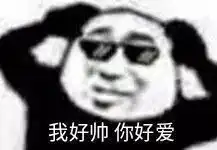  憨熊猫跟他的伙伴们