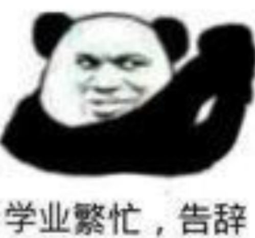  熊猫头表情包日常更新5