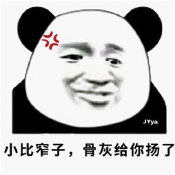  把你骨灰都给你扬了表情包大全