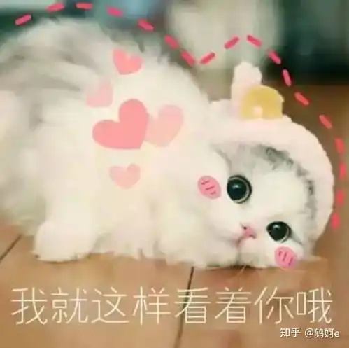 我把voscreen里的视频刷完了  我把voscreen里的视频刷完了