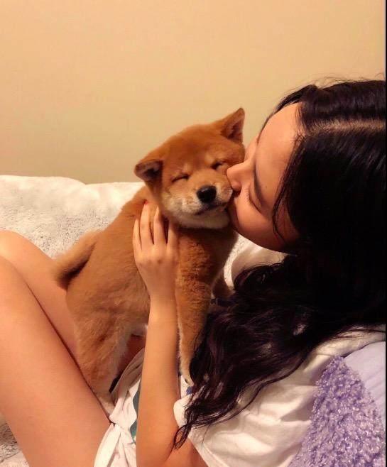 女朋友来我家对柴犬坐了个动作,这家伙露出的表情让我羡慕死了 女朋友来我家对柴犬坐了个动作,这家伙露出的表情让我羡慕死了