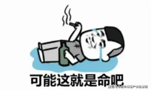 从伏见桃山到伏小桃品牌改名居然有这么多名堂 从伏见桃山到伏小桃品牌改名居然有这么多名堂