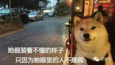  柴犬表情包上面的字写的好像是一个人看尽世态炎凉的图片求大神告知