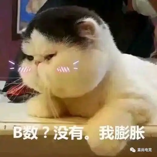  热点最前线丨rng放出养狗战术uzi小狗的vn时隔3年再次出线