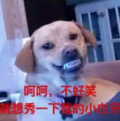 城市代替服务火了只有想不到,没有做不到
