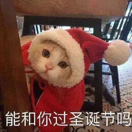  圣诞来袭移动千兆光宽带火爆预约中,还不赶紧动起来