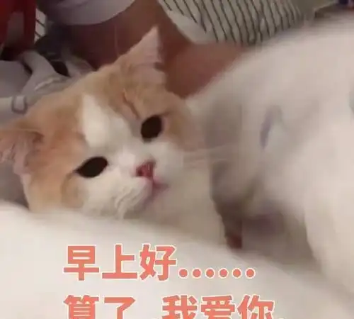  每日一笑今天帮了女同事一个小忙,下班后她说要请我吃饭.....