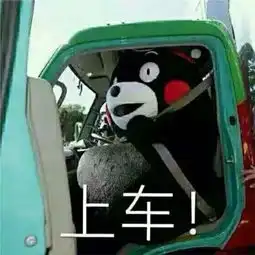  网通社汽车东风南方振安
