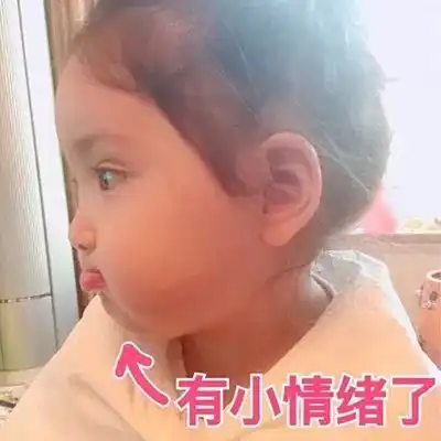 小黄脸表情包花棉袄楼市