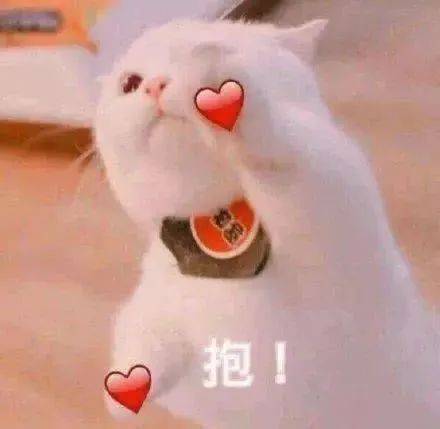  全体单身人士请注意2020年最后一次线下相亲会,下一个脱单的就是你哦