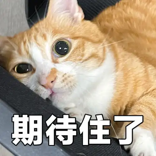  新表情包来了,还送贴纸