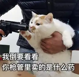  太惨了厦门人的这个小长假没了今年中秋国庆重叠更糟糕的是