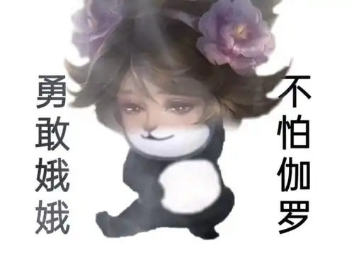  表情包王者荣耀勇敢表情包系列之教学篇