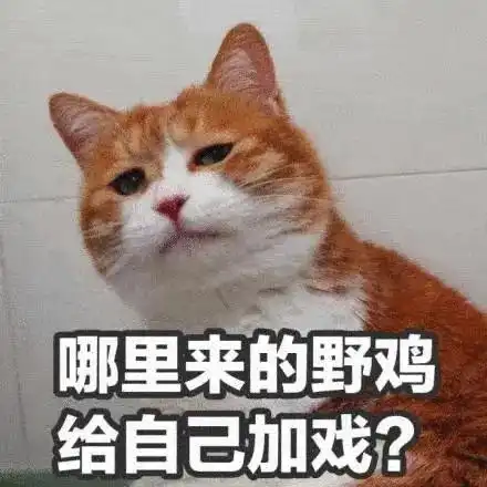 算我求你的表情包猫沙雕