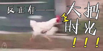 求婚表情包张庆祝