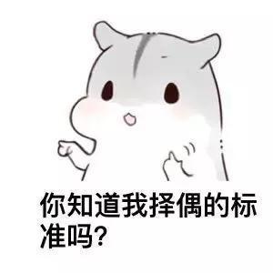  撩妹表情包梦想和我,你选哪个