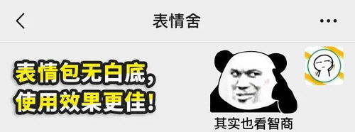  表情宝贝晚安宝贝早点睡,我还要去下一场派对熊猫头表情