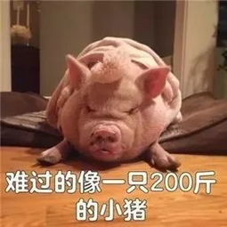  表情包界都需要用骚气闯出头的日子,我是爱了