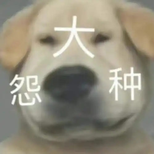  有哪些最近很火的大怨种文案