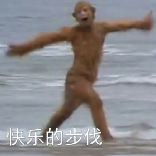 彭于晏表情包动图孙悟空
