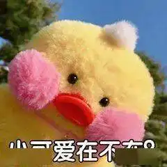 青年之声我与校长面对面问题投票开始啦 青年之声我与校长面对面问题投票开始啦