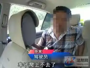  男子开车误将姐姐碾死事后将行车记录仪扔水坑里