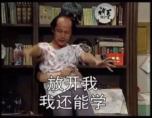 葛优表情包动图顽主