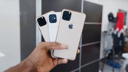  表情今年的iphone11苹果会求变还是求稳表情