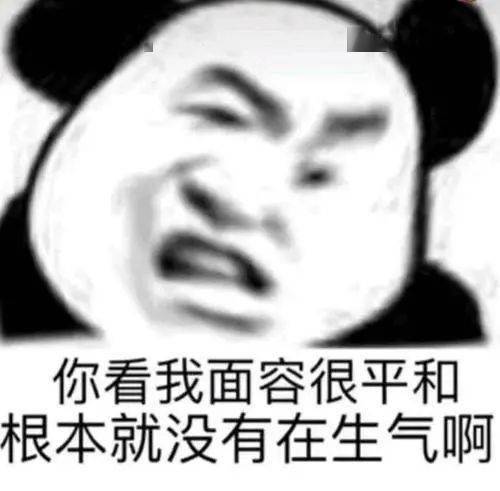  熊猫头表情包i对不起你是一个好人
