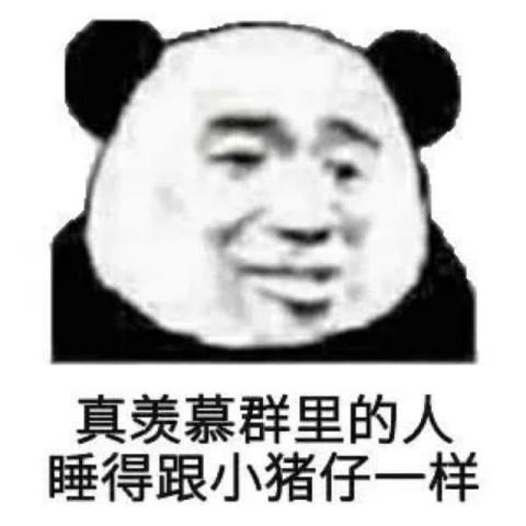 猪表情包动图猪仔