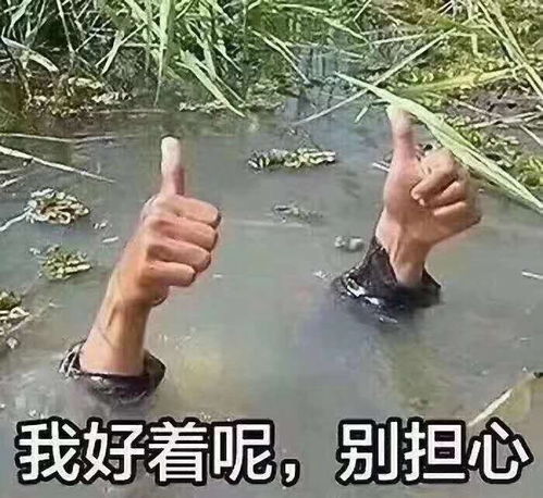  不管怎么说这都是选秀学历再高履历再好也得符合...