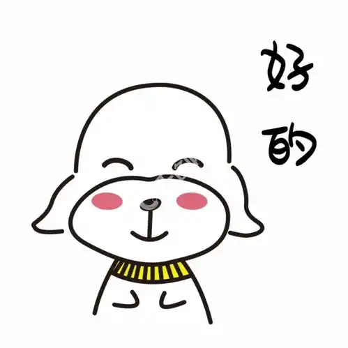 妙啊表情包gif动图乌龟