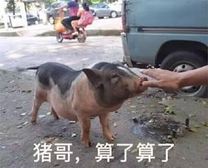  大哥算了算了搞笑表情包,你更喜欢用哪一个每一个都很有趣