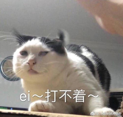  如何看待王者荣耀主播厌世小孤影8月1日直播事件