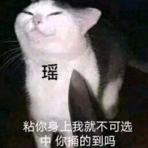  王者表情包王者猫狗搞笑表情包别废话,上号