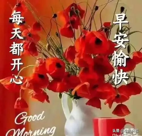 搞笑动态早上好表情句子