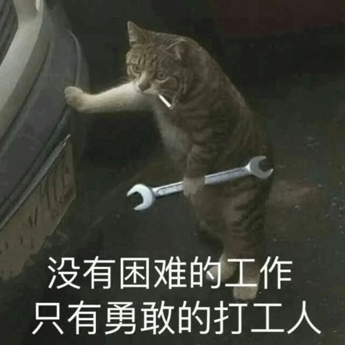  超级沙雕表情包给你织个绿帽子,帅死你