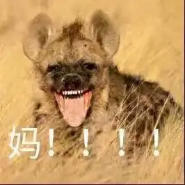  求喊妈表情包无字原图