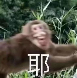  塑料同事情相亲角惊现员工替老板相亲,原因竟是